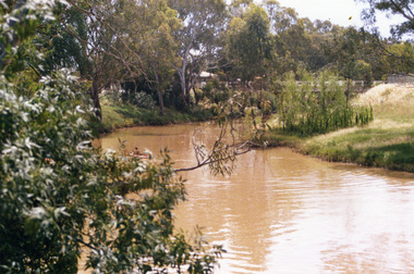 Photograph - Avoca River Charlton 3525
