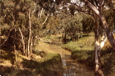 Photograph - Avoca River Charlton 3525