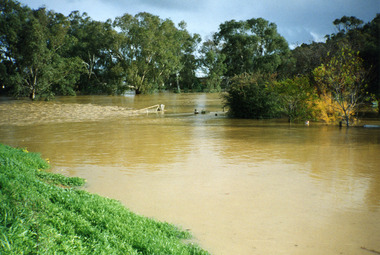 Photograph - Coloured Phot Charlton Flood 1995