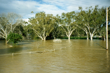 Photograph - Coloured Phot Charlton Flood 1995