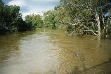 Photograph - Coloured Phot Charlton Flood 1995