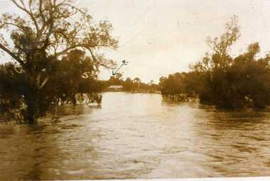 Photograph, 1923 Floods, 01/05/2008