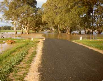 Photograph, 1970's Flood
