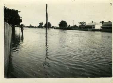 Photograph, Flood in Armstrong or Halliday Street Approx 1909