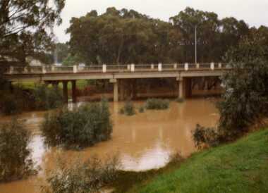 Photograph, 1981 Moderate flood Calder Highway Bridge over Avoca River Charlton Vic 3525