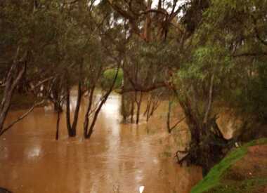 Photograph, Avoca River (High Level) near Charlton Vic. 3525