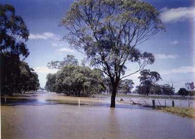Photograph, February 1973 Flood on St Arnaud Road