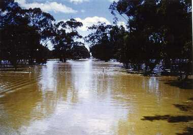 Photograph, Avoca River along St. Arnaud Road February 1973