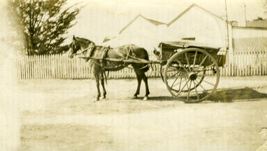 Photograph - Sepia photo of horse and cart c. 1925