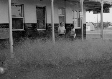 Photograph - Black and white photo 'Windmill Grass' outside Vale of Avoca Charlton December 1973