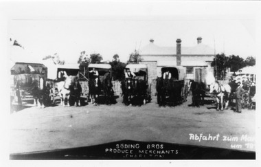 Photograph - Soding Bros Charlton Dairy Depot, c1900