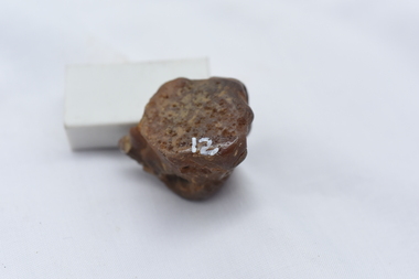 Geological specimen - Chalcedony, Chalcedony (Quartz family, local - Woolshed) - Geological Specimen