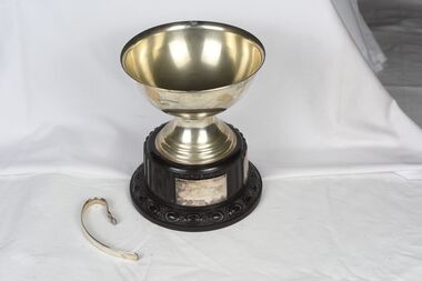 Award - Trophy, Beechworth Table Tennis Association Trophy