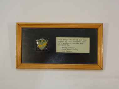 Graduate Nurse Badge, Nurse Badges