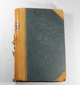 Book, Minute Book - Committee 1890-1895
