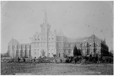 Negative, The School Grounds