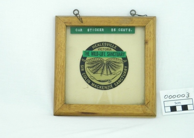framed car sticker, Lynette Kennedy