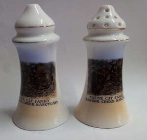 Ceramic - salt and pepper shakers, IBC Royal Scenic China, c 1930's