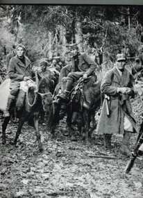 Book, Time-Life Books, Partisans and Guerrillas, 1978