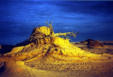 Photograph - colour, Clare Gervasoni, Mungo at Dusk, 07/09/2008
