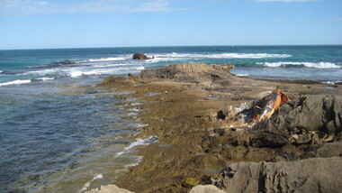 Photograph - Colour, Clare Gervasoni, Dead Whale at Warrnambool, 02/09/2012