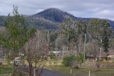 Photograph - Colour, Marysville after Black Saturday