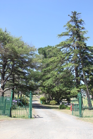 Photograph - Colour, Clare Gervasoni, Buninyong Cemetery, 2014, 30/12/2011