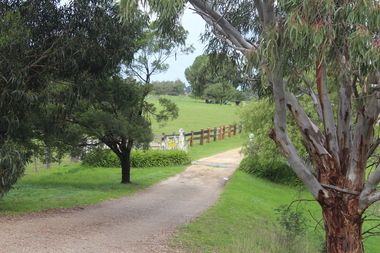 Photograph - Colour, Alexander McMillan's Bushy Park near Maffra, 2014