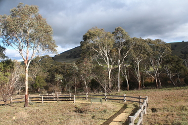 Photograph - Colour, Post at Rail Fence at Oriental Claims, Omeo, 2014