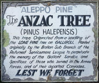 Photograph - Colour, Clare Gervasoni, Lone Pine at Ballan, Victoria, 2015