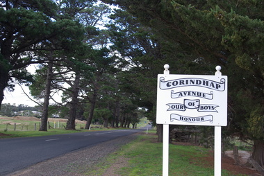 Photograph - Colour, Corindhap Avenue of Honour, 2015, 23/08/2015
