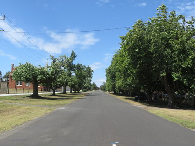 Photograph - Colour, Clare Gervasoni, Koroit Avenue of Honour, 2015, 24/12/2015
