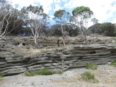 Photograph - Colour, Lisa Gervasoni, Tower Hill Volcanic Ash Layers, 2015, 25/12/2015