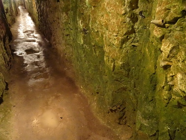 Photograph - Colour, Ann Gervasoni, Underground Tunnels on The Somme, France, 2014, 21/07/2014