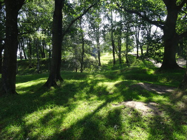 Photograph - Colour, Ann Gervasoni, Hill 60, 18/07/2014