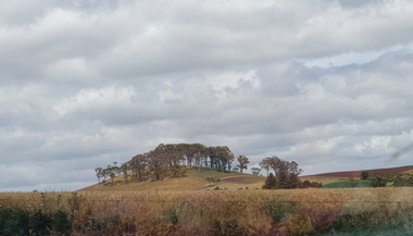  Wombat Hill near Boundary Church Road, Newlyn, 2020