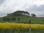 Wombat Hill near Boundary Church Road, Newlyn, 2019
