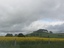 Wombat Hill near Boundary Church Road, Newlyn, 2019