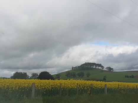 Wombat Hill near Boundary Church Road, Newlyn, 2019