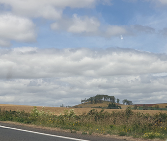 Photograph - Photograph - Colour, Clare Gervasoni, Wombat Hill near Boundary Church Road, Newlyn, 2020, 2020