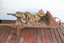 Wooden wheelbarrow from the Amess era with metal wheel.