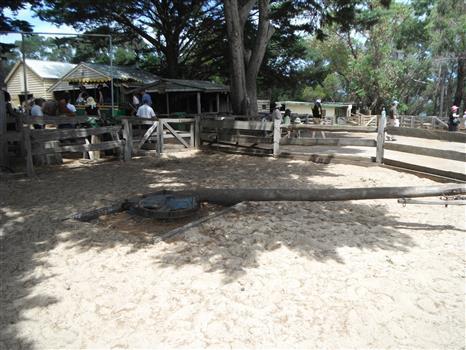 Photograph of horseworks in situ