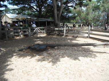 Photograph of horseworks in situ