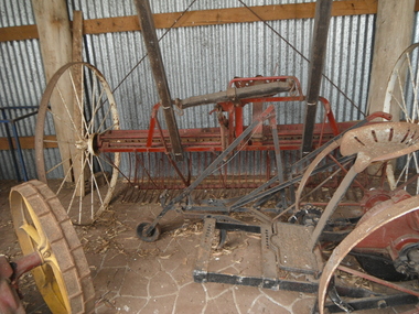 Red dump hay rake  with white wheels pulled by a single horse. It has a single row of rakes.