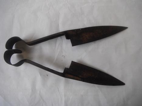 hand shears with black board