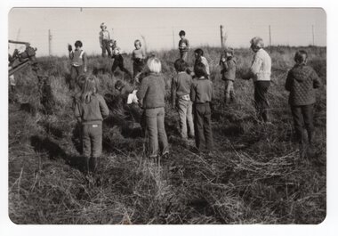 Photograph - Photograph of school planting group, <1975