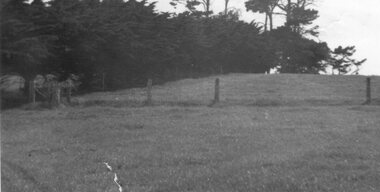 Landscape of Churchill Island, c.1953