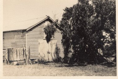 Near old barn, c.1940