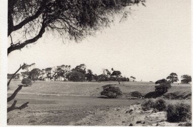 Landscape view along Churchill Island, c.1930