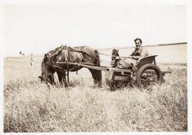Ted Jenkins in the Pony Cart, c.1940